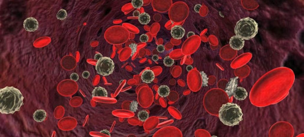 7 Important Facts You Should Know About Blood Cancer in India